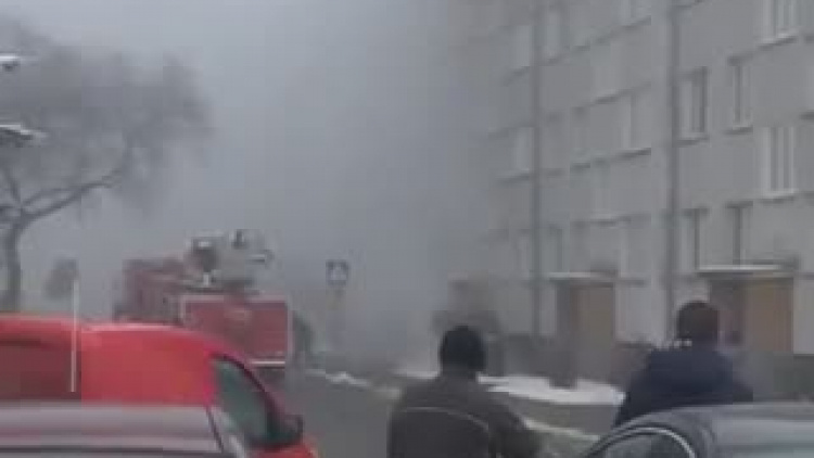 video-1486029861.mp4