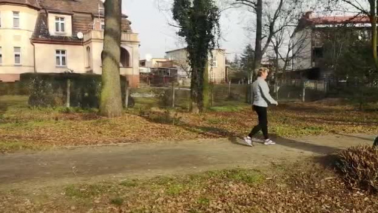 a1.mp4