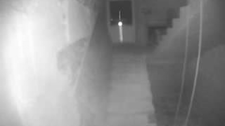 wlamanie_dn8jo6qxq5ko0ok_11b0867.mp4