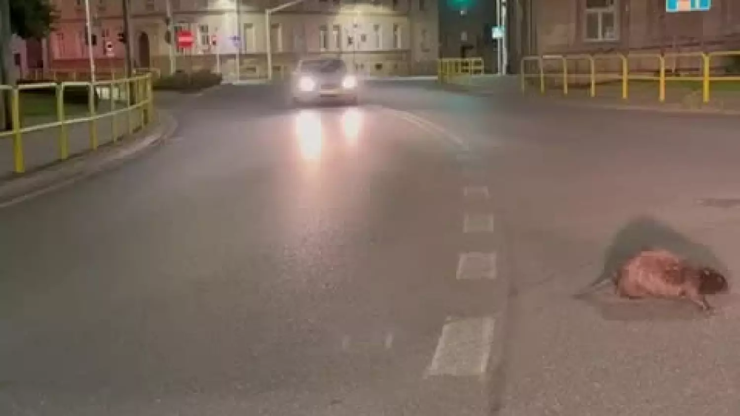 501371354-10039272252844619-6412387775069127806-n.mp4