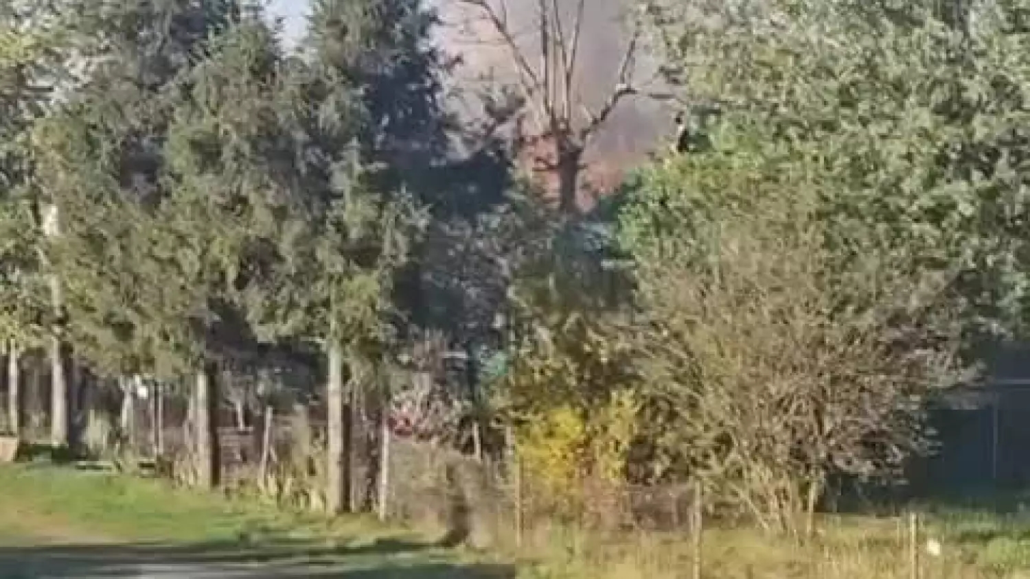 dzialki-5.mp4