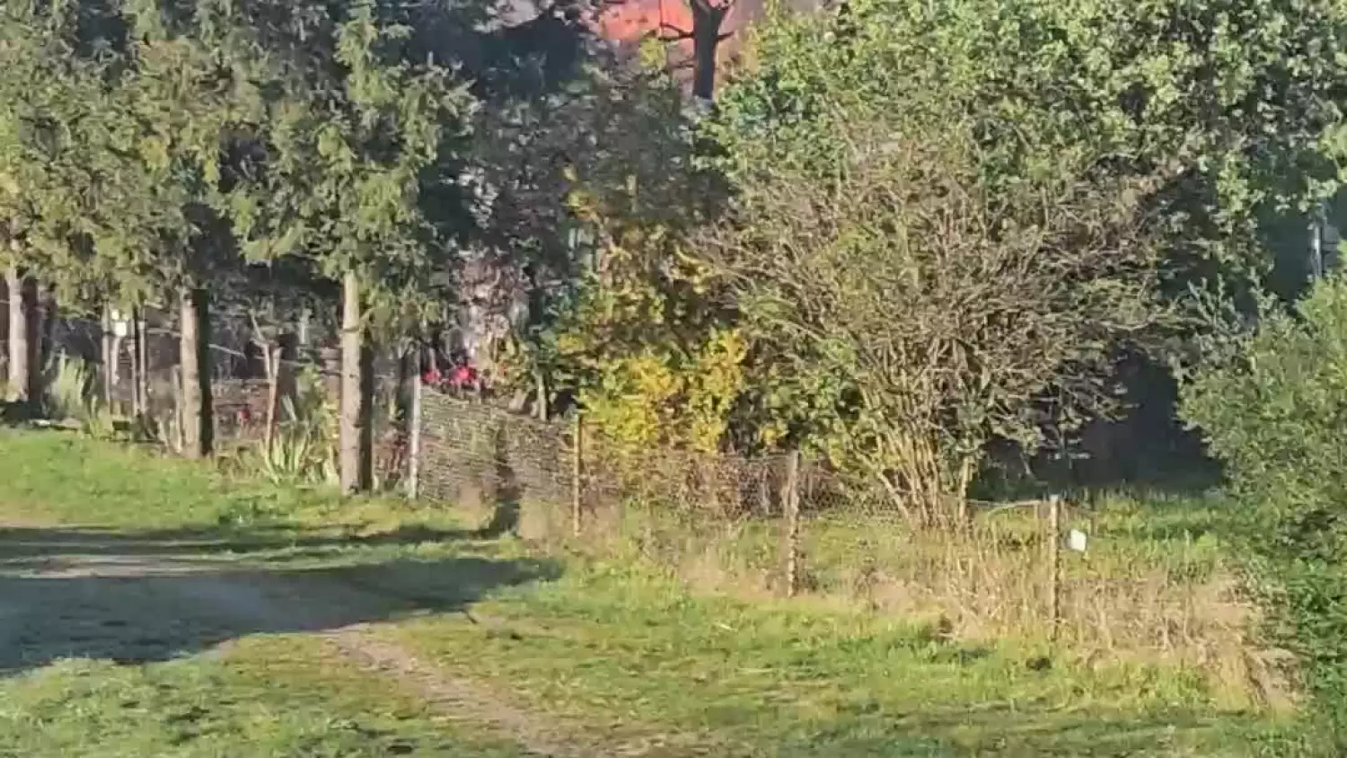 dzialki-2.mp4